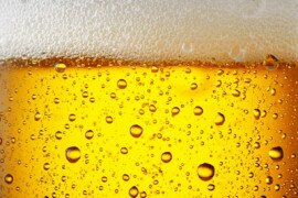 Beer head